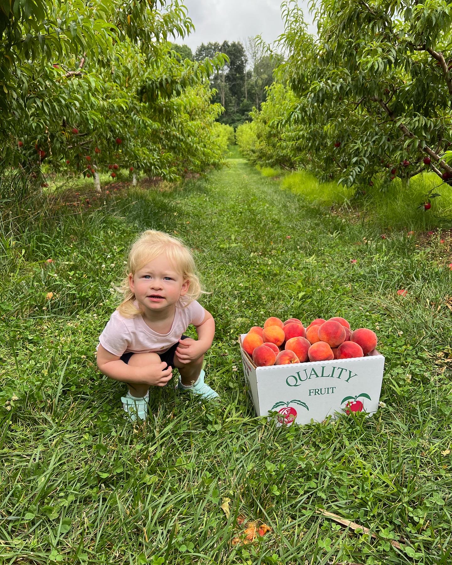girl with peaches