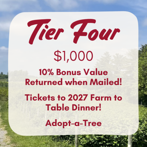 Tier Four Tier 4 - Investment Gift Card